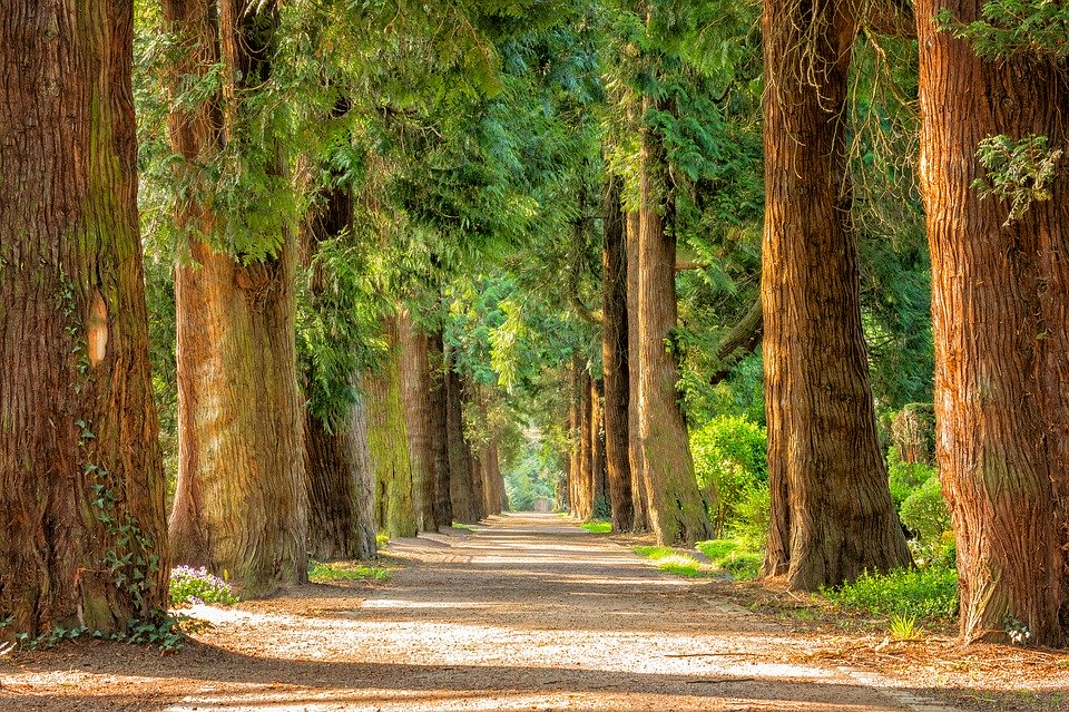 A la découverte de nos sens en pleine nature